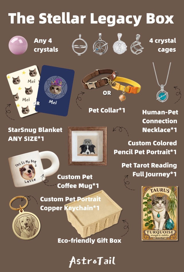 Soul-Link™ The Stellar Legacy Box – Ultimate Pet & Owner Soul Connection Gift