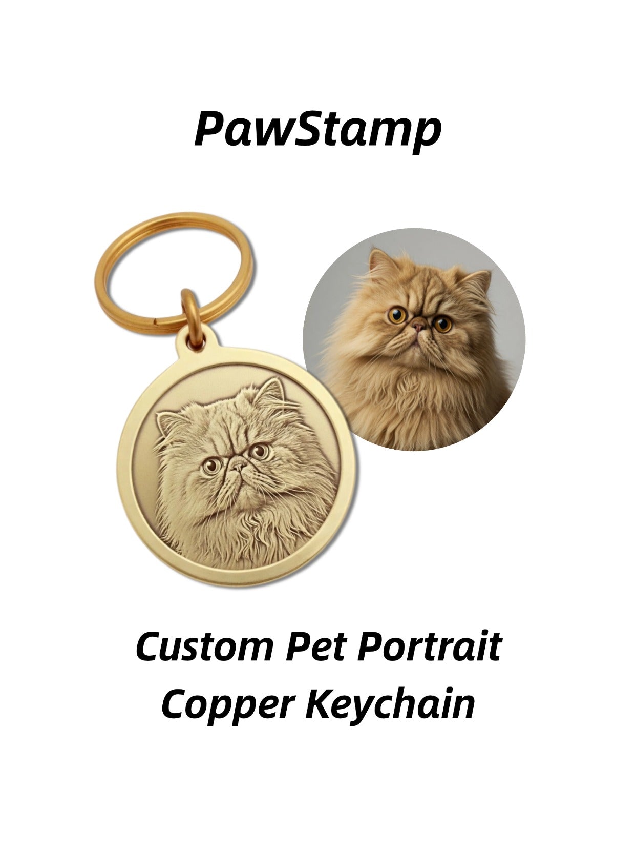 Soul-Link™ The Stellar Legacy Box – Ultimate Pet & Owner Soul Connection Gift