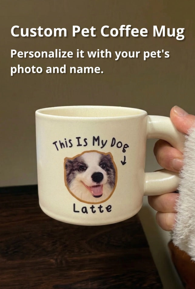 Soul-Link™ The Stellar Legacy Box – Ultimate Pet & Owner Soul Connection Gift