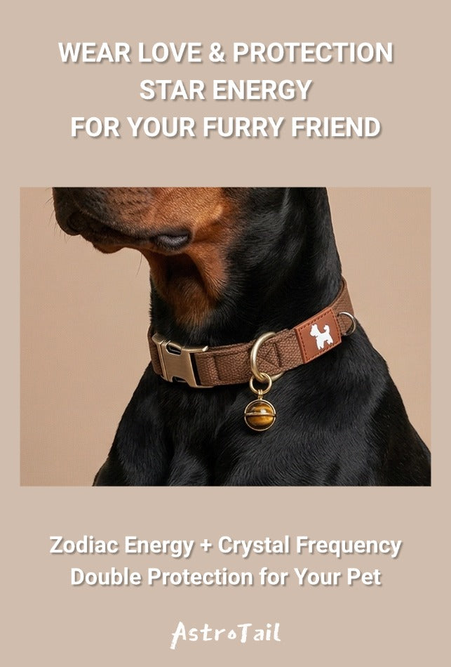 Soul-Link™ Double-Layer Custom Engraved Pet Collar – Personalized with Your Pet’s Name