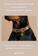 Soul-Link™ Double-Layer Custom Engraved Pet Collar – Personalized with Your Pet’s Name