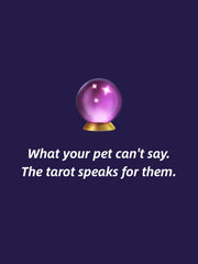 Soul-Link™Paws & Tarot — Pet Tarot Reading Service